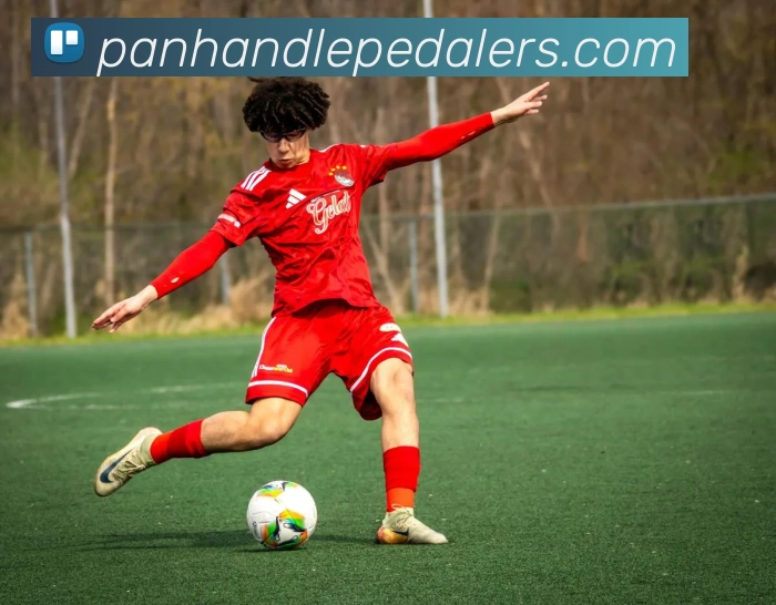 mksports在线登录入口平台生态图